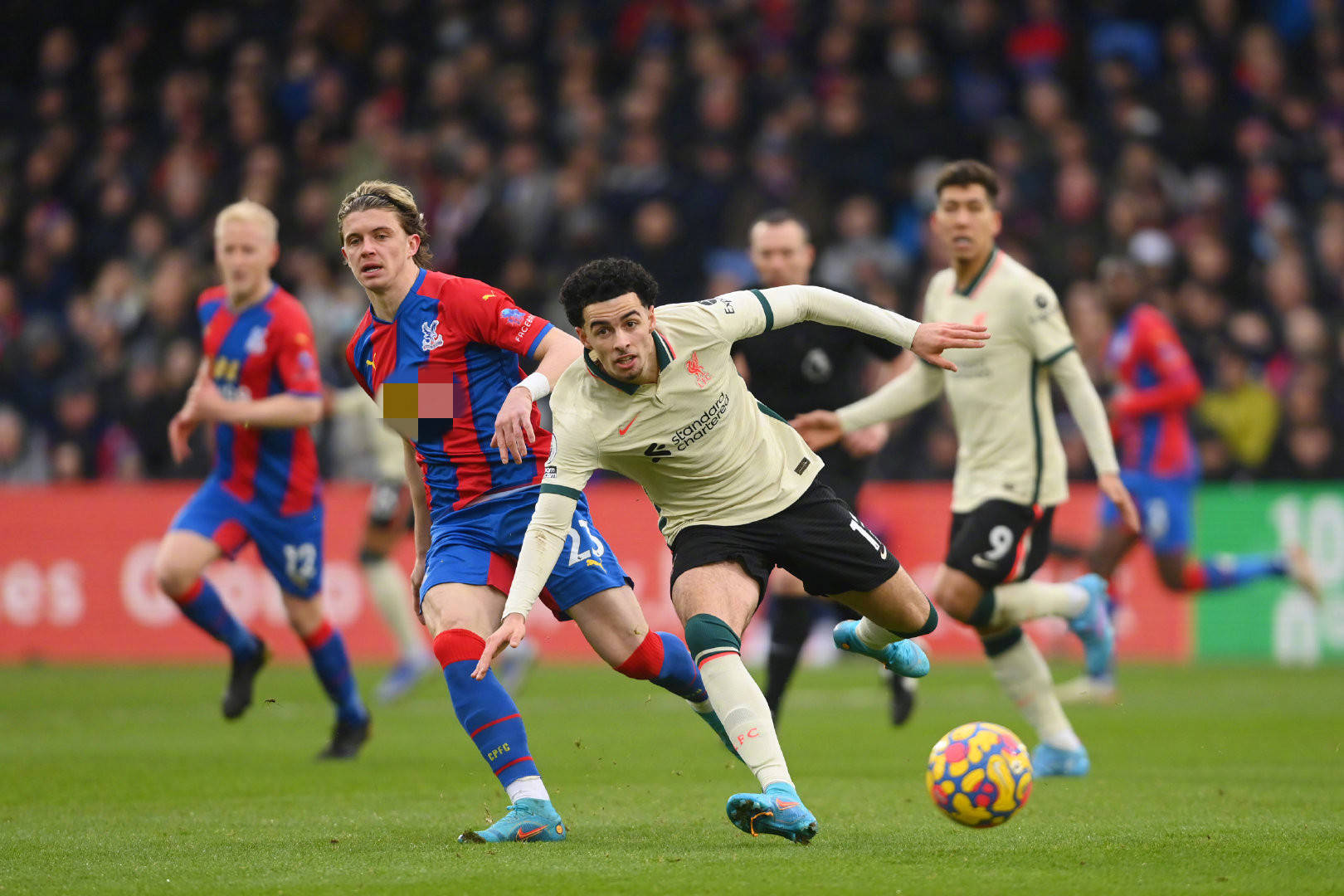 许能够顺利 许能够顺利